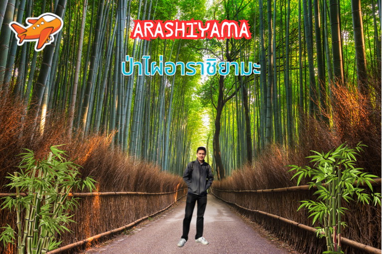 ป่าไผ่อาราชิยามะ (Arashiyama Bamboo Grove) – เกียวโต